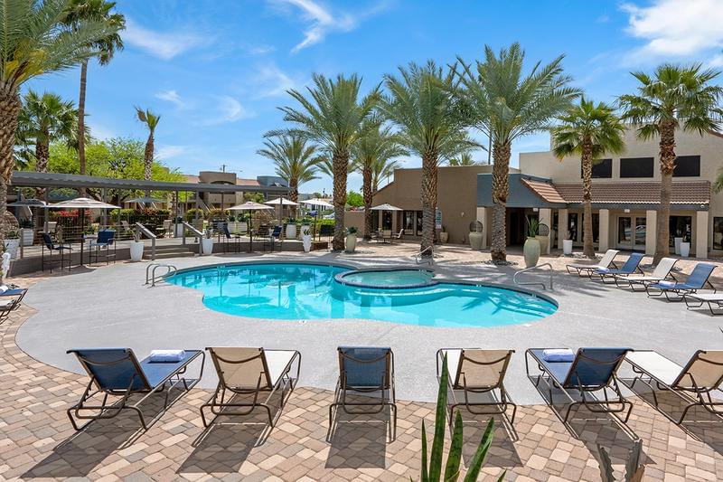 Oasis in the Heart of Mesa | When you choose Level 550 apartments, you'll enjoy oasis living in the heart of Mesa.