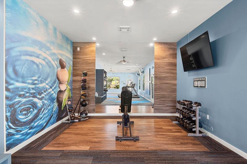 Weight Training Equipment | Enjoy our semi-private weight training space fully stocked with free weights and weight balls.