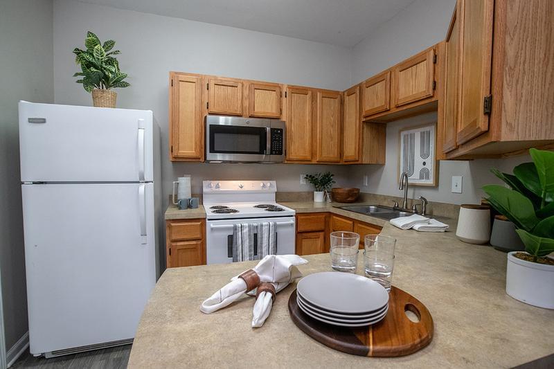 Fully Applianced Kitchen | All kitchens are complete with a refrigerator, stove, dishwasher and brand-new stainless-steel microwave.