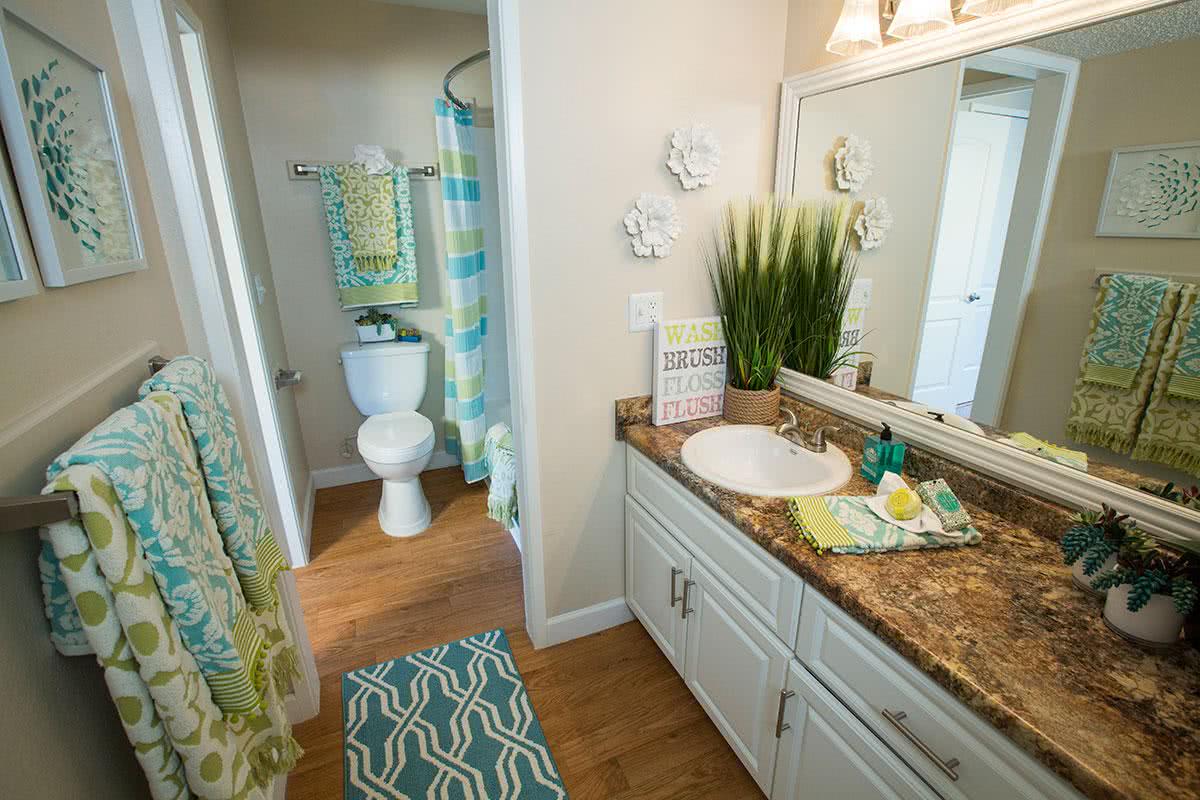 Newly remodeled bathrooms with updated countertops and cabinetry.