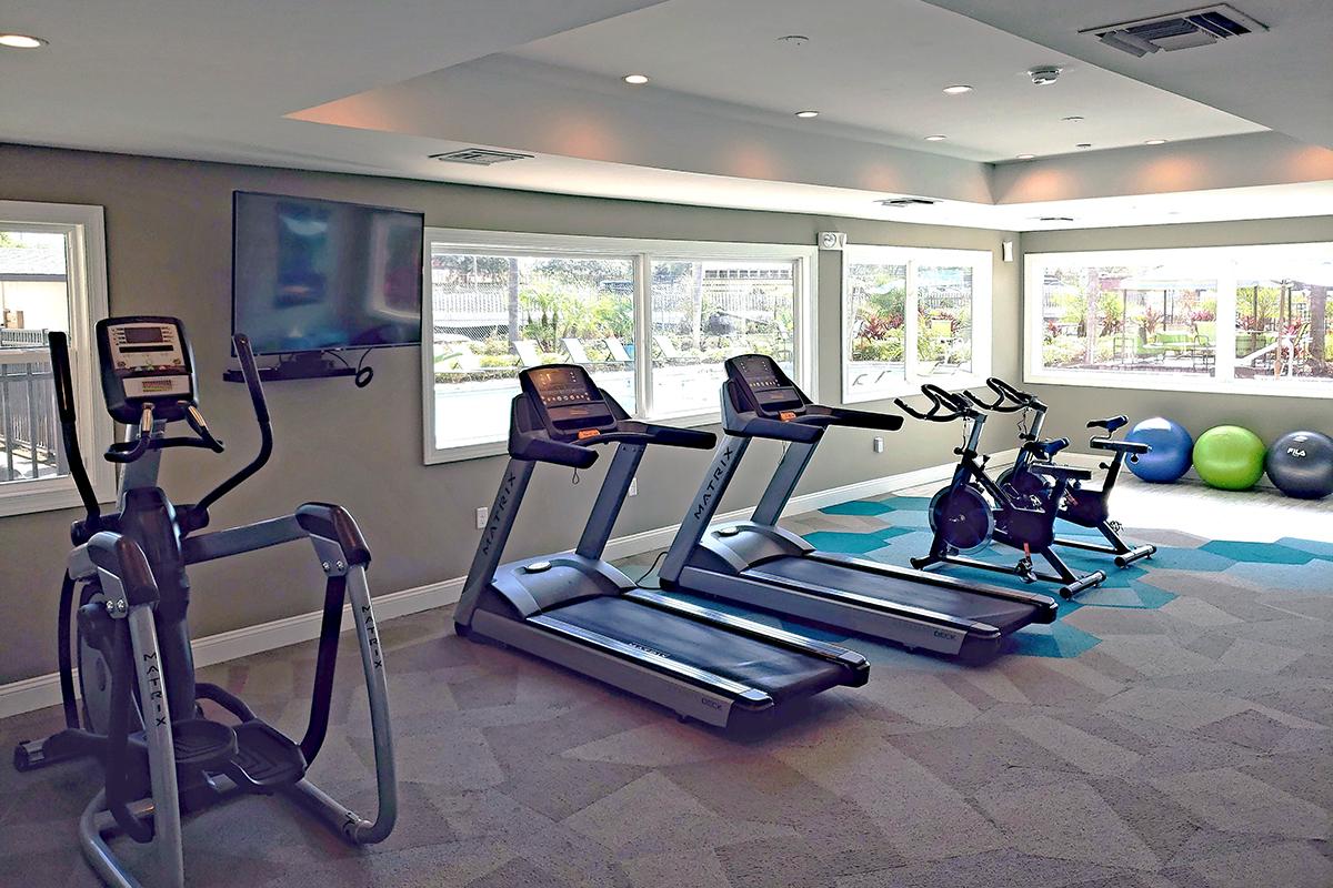 24-Hour Fitness Center featuring impressive cardio equipment.