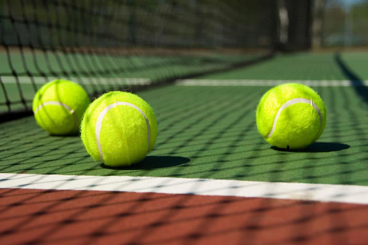 Catch a game at one of our two lighted tennis courts.