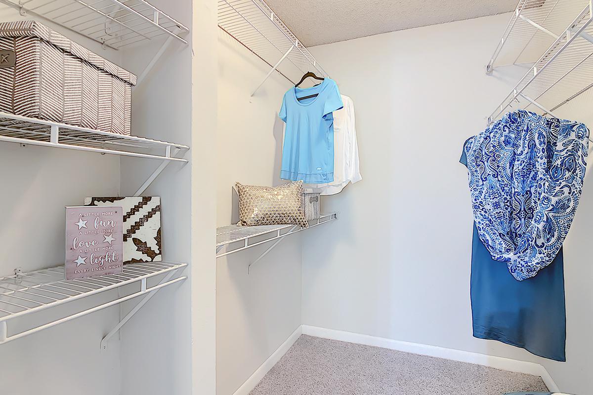 Large walk-in closet with built-in organizers.
