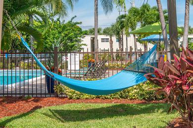 Hammock Garden | Lay out on a hammock in our poolside hammock garden.