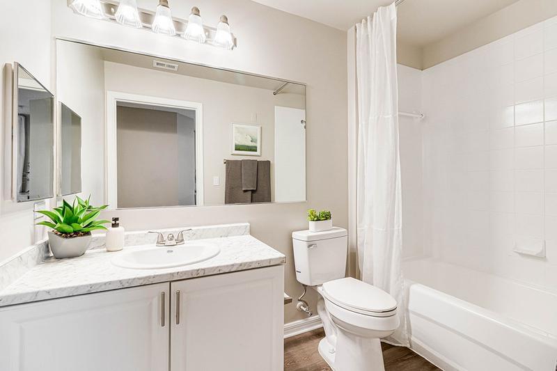 Master Bathroom | Master bedrooms featuring large mirrors and wood-style flooring.