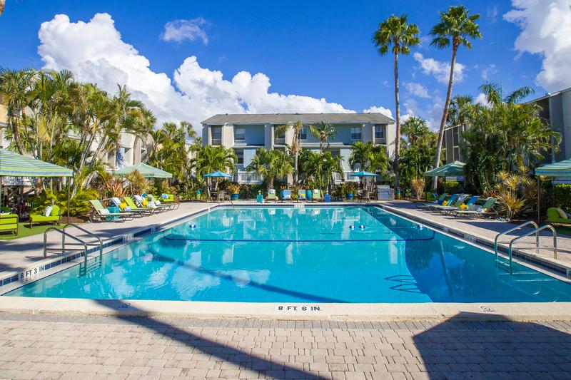 Fort Myers Florida Apartments For Rent Near Fgcu