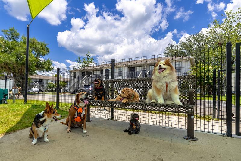 Pet Friendly | Ridgemar Commons offers pet friendly apartments in Gainesville. We also offer an off-leash dog park.