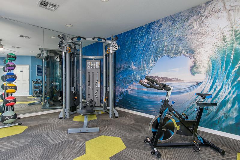 Weight Training Equipment | Our fitness center is stocked with all the cardio and weight training equipment you need for that full body workout!