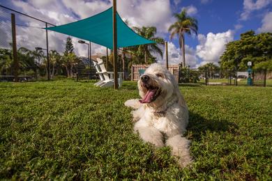 Dog Park | The View at Water's Edge offers pet friendly apartments in Lantana, FL