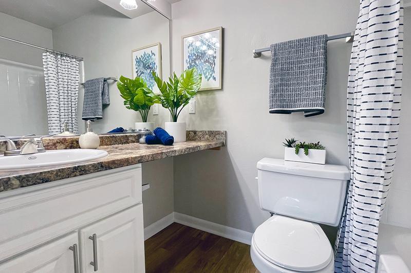 Master Bathroom | You’ll love the extra counter space and storage!