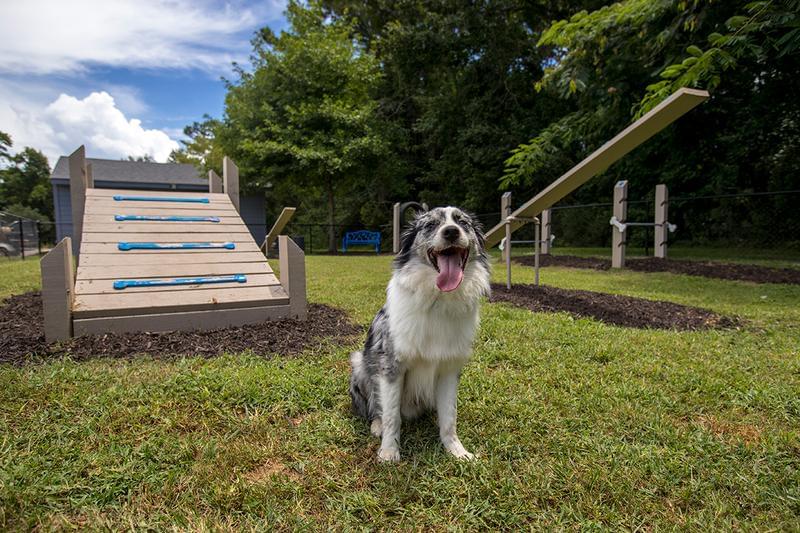 Bark Park | Bring your pup down to our off-leash "Bark Park" for some exercise.