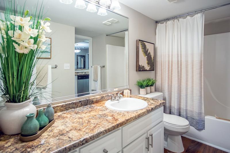Master Bathroom | Master bathroom featuring wood-style flooring, granite-style countertops, and a large mirror.