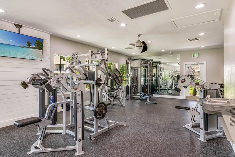 Weight Training Equipment | Our fitness center also features plenty of weight training equipment.