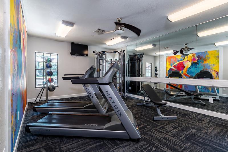Weight Training & Cardio Equipment | Our fitness center features both cardio and weight training equipment for your use.