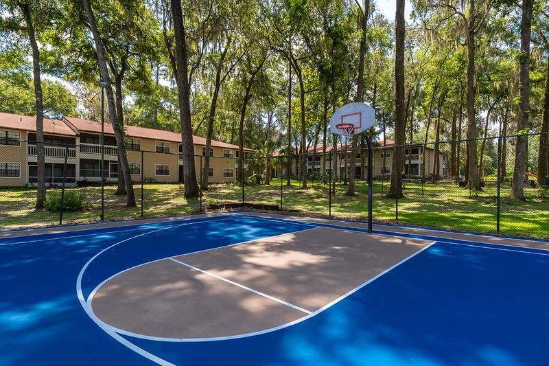 Basketball Court | Play a game of basketball with some friends at our basketball court.