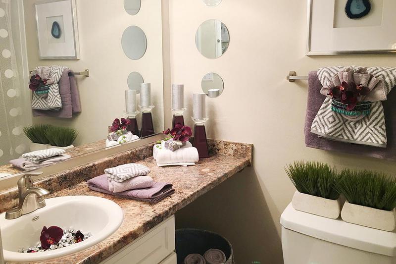 Master Bathroom | Newly remodeled master bathroom with large vanity.