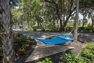 Hammocks | Lay out on one of our hammocks.