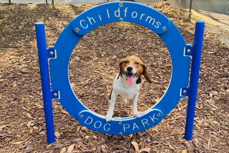 Off-Leash Dog Park | We offer pet friendly apartments in Jacksonville and even have an off-leash dog park.