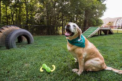 Pet Friendly | Slate is a pet friendly community and even has an off-leash dog park.
