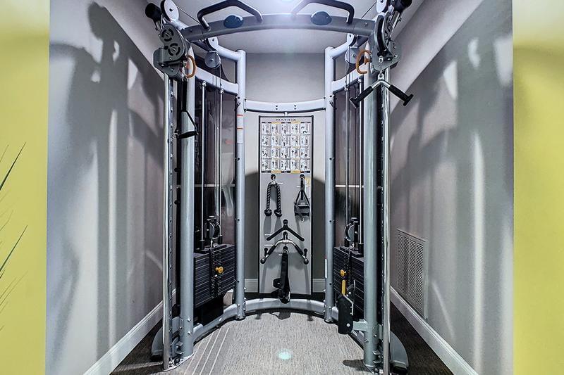 Weight Training Equipment | Our fitness center features all the weight training equipment you could think of!