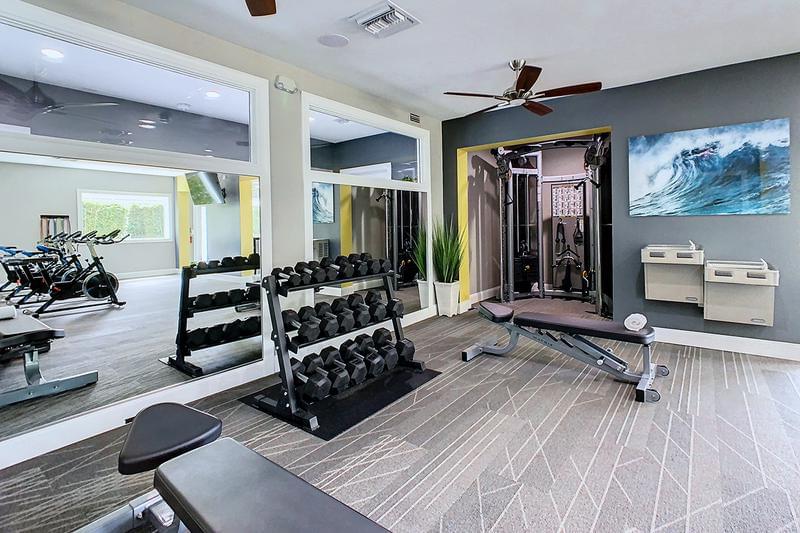 Free Weights | Our fitness center is complete with plenty of free weights.