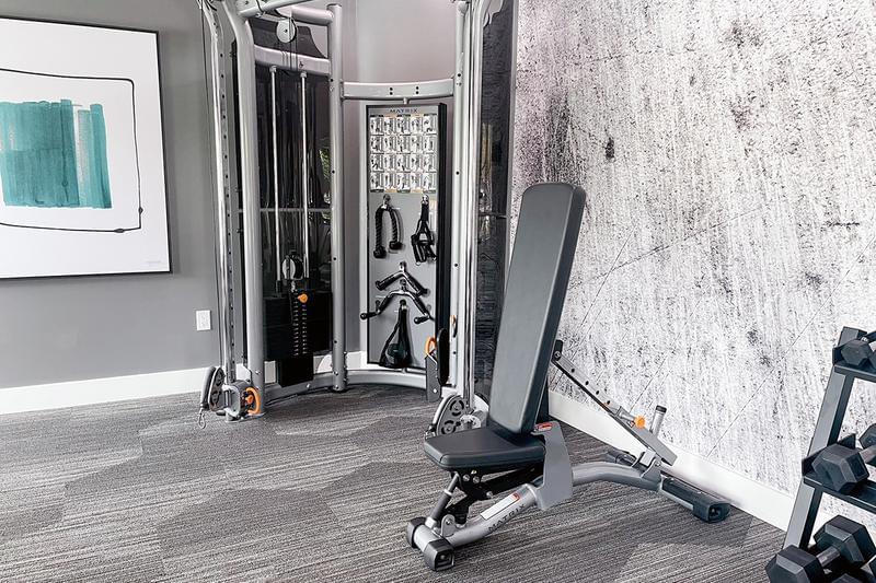 Strength Training Equipment | Our fitness center also features all the strength training equipment you'll need for a full body workout. 