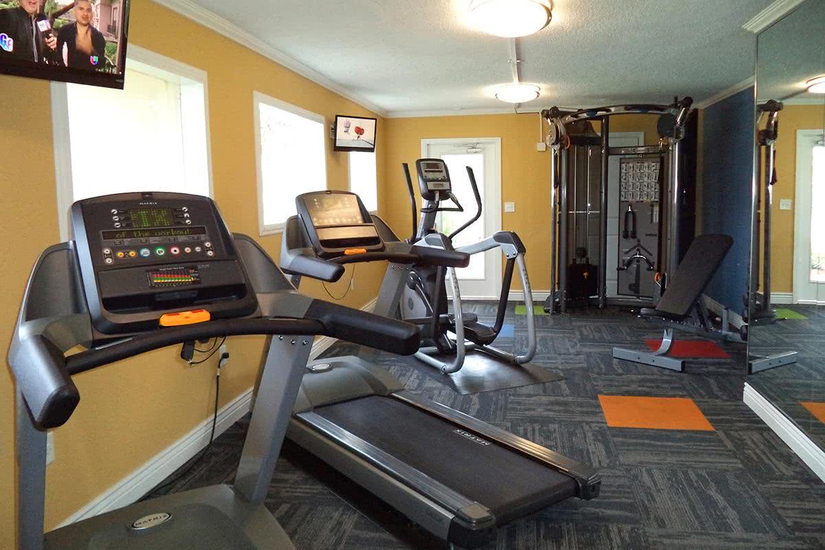 Pet Friendly Apartments Winter Park Fl Pet Friendly Apartments Winter Park Fl