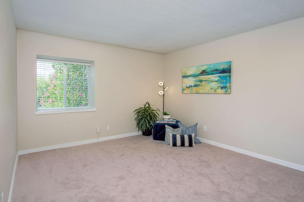 Large, spacious bedroom with plenty of natural light.