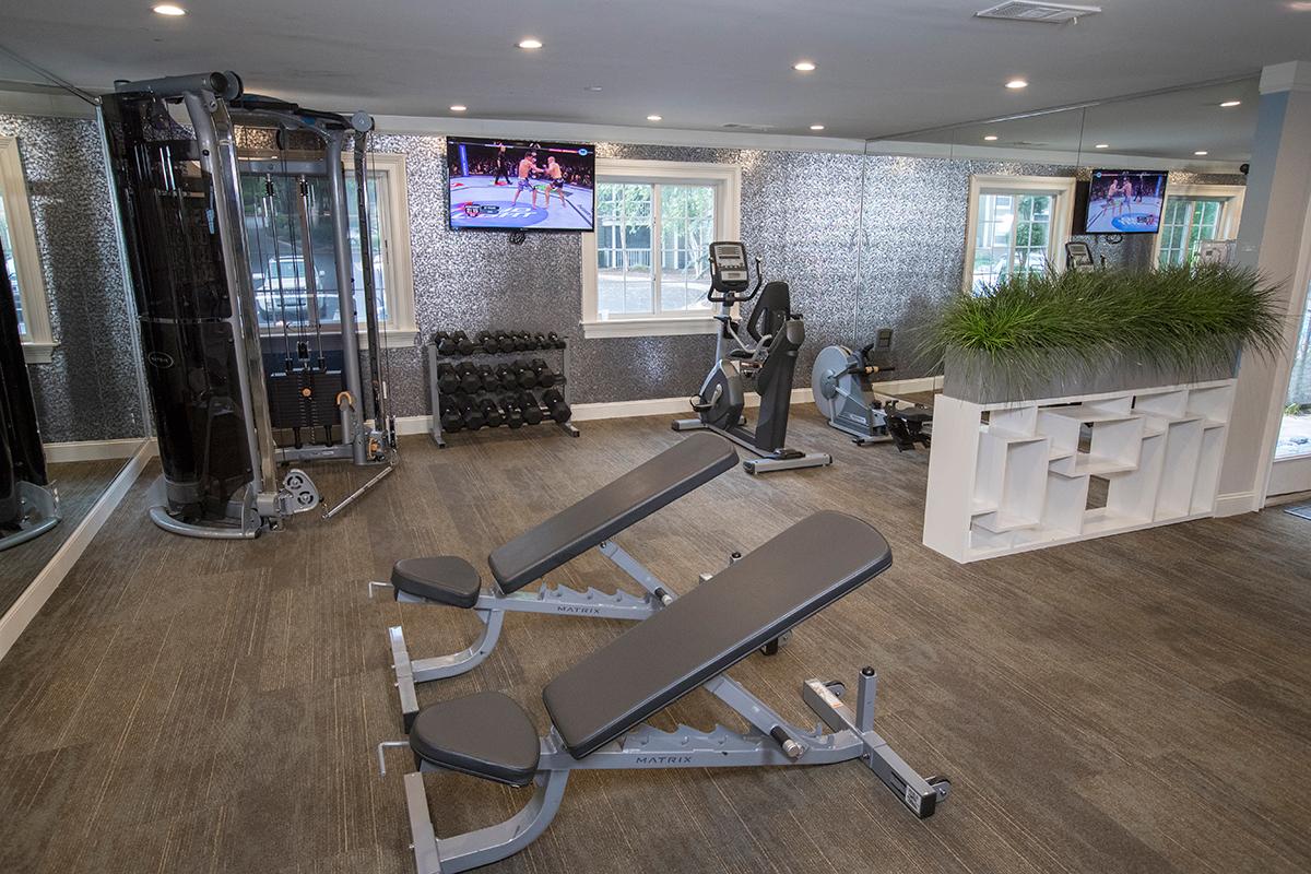 Our fitness center features all of the weight training and cardio equipment you need for a full body workout. 