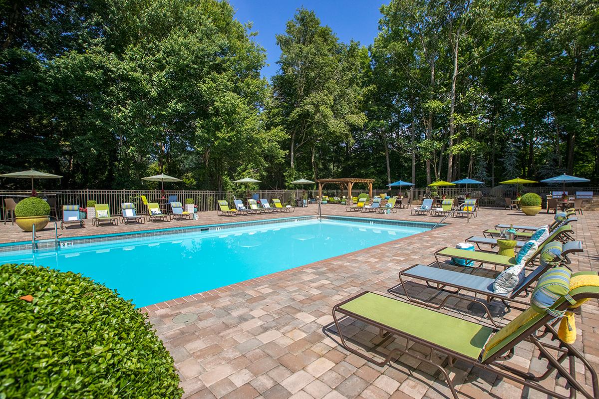 Lay out and soak in the sun from one of our poolside loungers. 