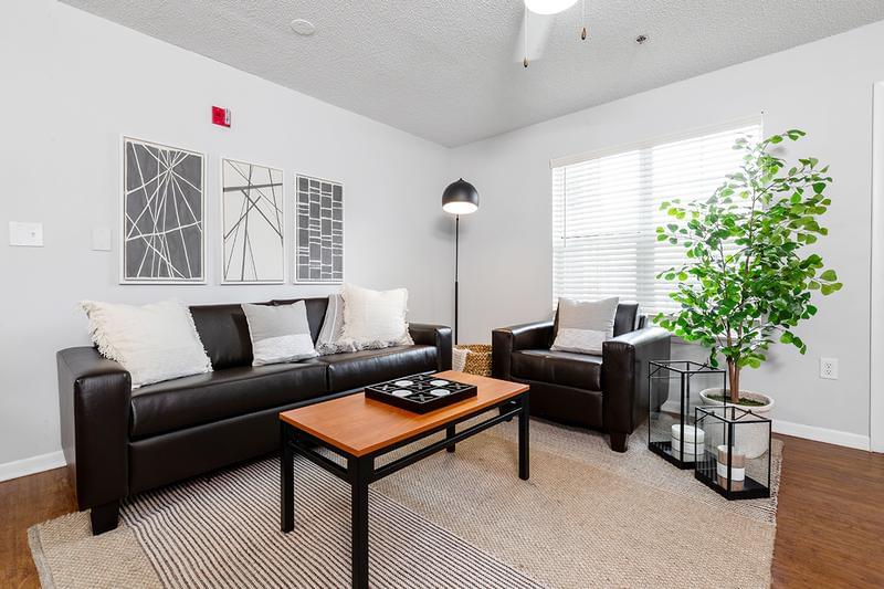 Living Room | Spacious living rooms feature fully furnished furniture package with TV included!