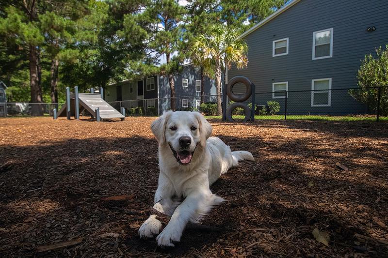 Off-Leash Dog Park | Your furry friend will love running around in our off-leash dog park. 
