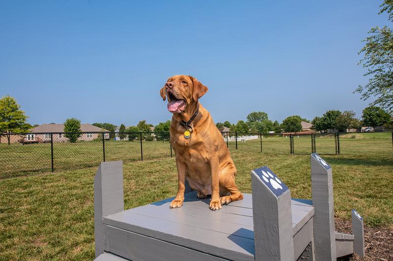 Off-Leash Dog Park | Emory Lakes offers pet friendly apartments in Topeka, KS and has an off-leash dog park.