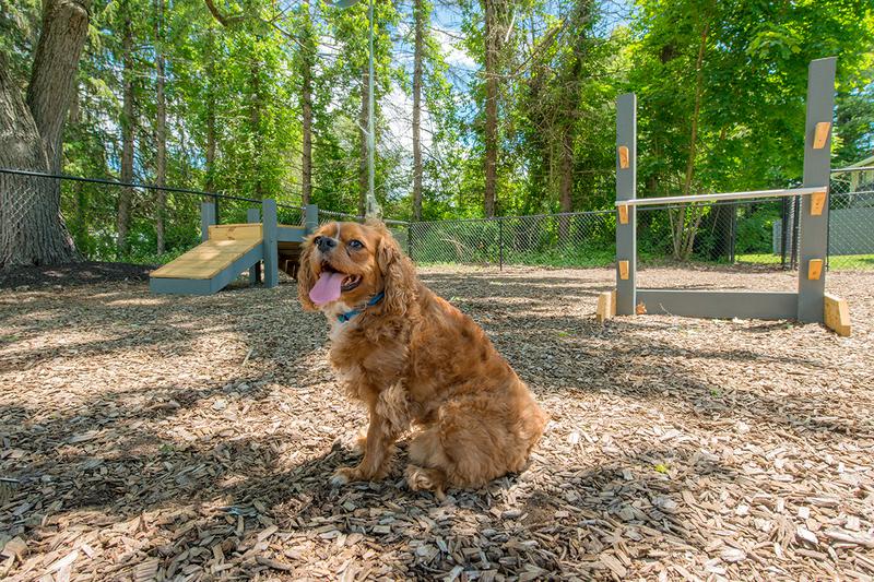 Pet Friendly | Alpine Commons is a pet friendly community with an off-leash dog park.
