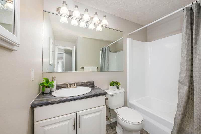 4 Bed 2 Bath Bathroom | Each bathroom offers large vanities and built-in medicine cabinets with a sleek, modern finish.