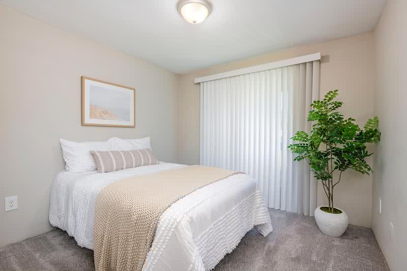 Bedroom | Spacious bedrooms featuring plush carpeting and large windows.
