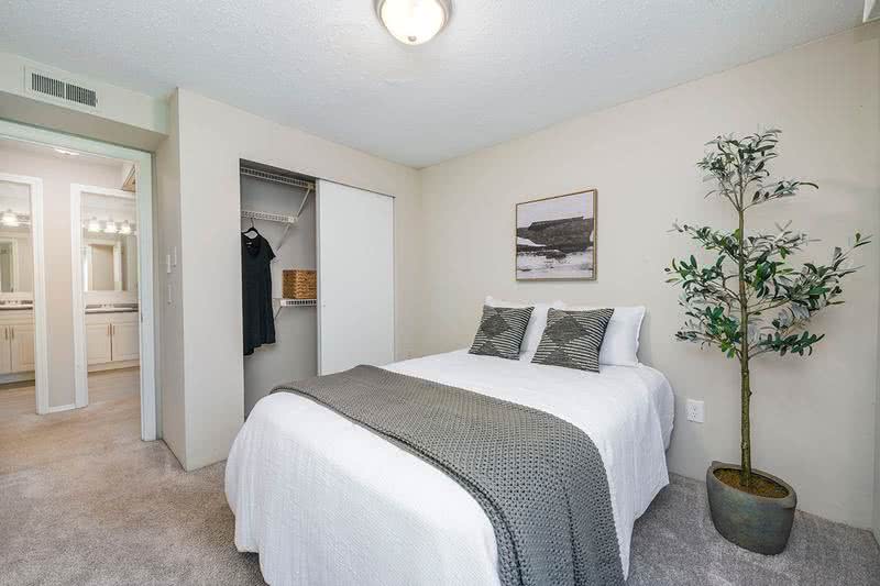 Bedroom | Spacious bedrooms featuring plush carpeting and large windows.