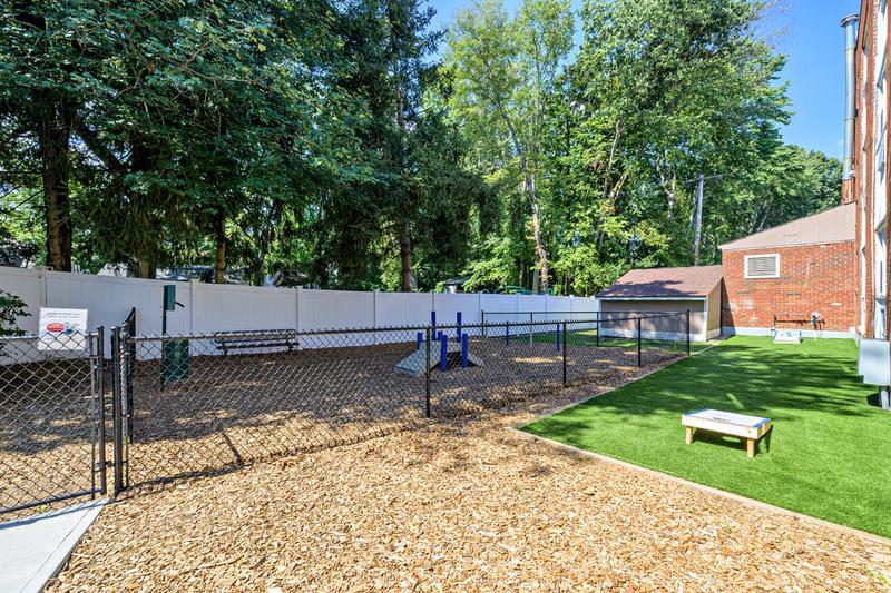 Dog Park and Cornhole | Bring your pup down to our off-leash dog park for some fun or play a game of cornhole.