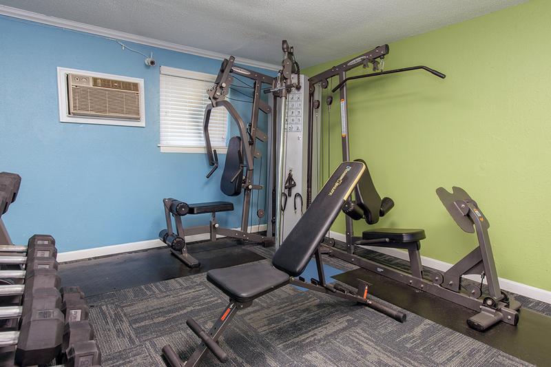 Weight Training | Our fitness center features all the weight training and cardio equipment you need for a full body workout.