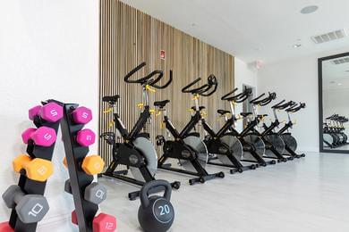 Spin/Yoga Studio | Experience the exhilaration of spinning and the tranquility of yoga in our state-of-the-art spin and yoga studio. Come and try it out now!