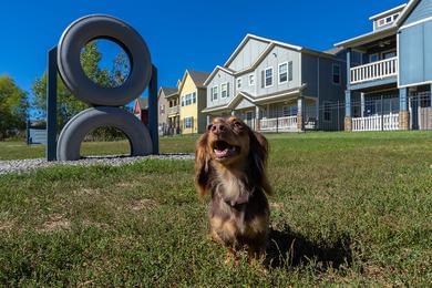 Pet Friendly with Off-Leash Dog Park | Your pup will absolutely love our off-leash dog park featuring agility equipment.