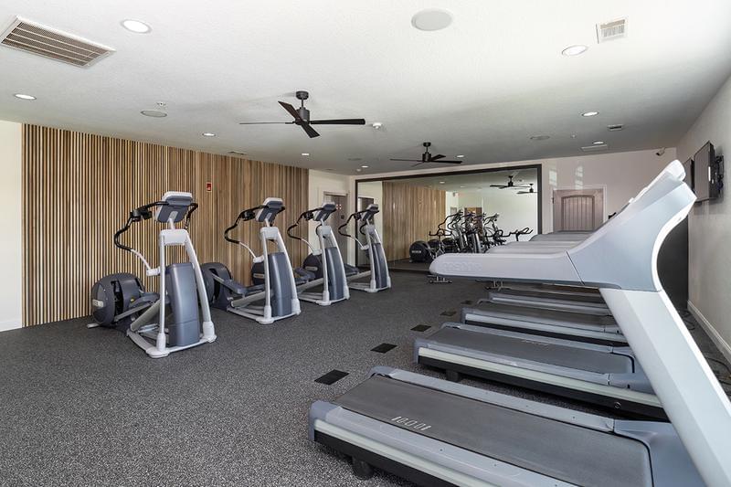 Cardio Room | Venture through our fitness facility and find our cardio room featuring treadmills, ellipticals and more spin bikes!