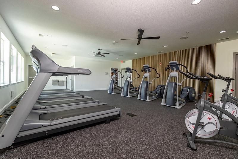 Cardio Room | Venture through our fitness facility and find our cardio room featuring treadmills, ellipticals and more spin bikes!