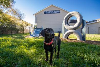 Off-Leash Dog Park | Your pup will love spending time at our off-leash dog park.