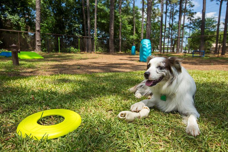 Off-Leash Dog Park Updates Coming Soon | Bring your furry friend down to our off-leash dog park.