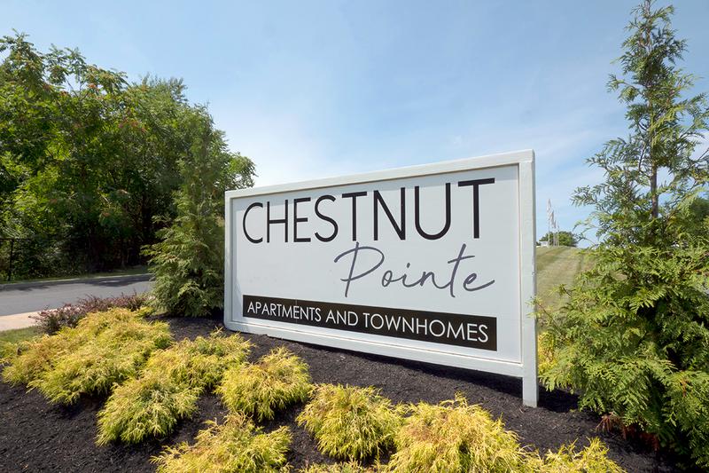 Welcome Home to Chestnut Pointe | Welcome to Chestnut Pointe, offering 3 bedroom apartments, and 4 bedroom townhomes.