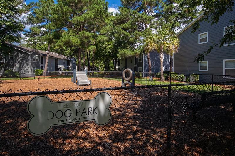 Off-Leash Dog Park | Bring your pup down to our off-leash dog park for some fun. 