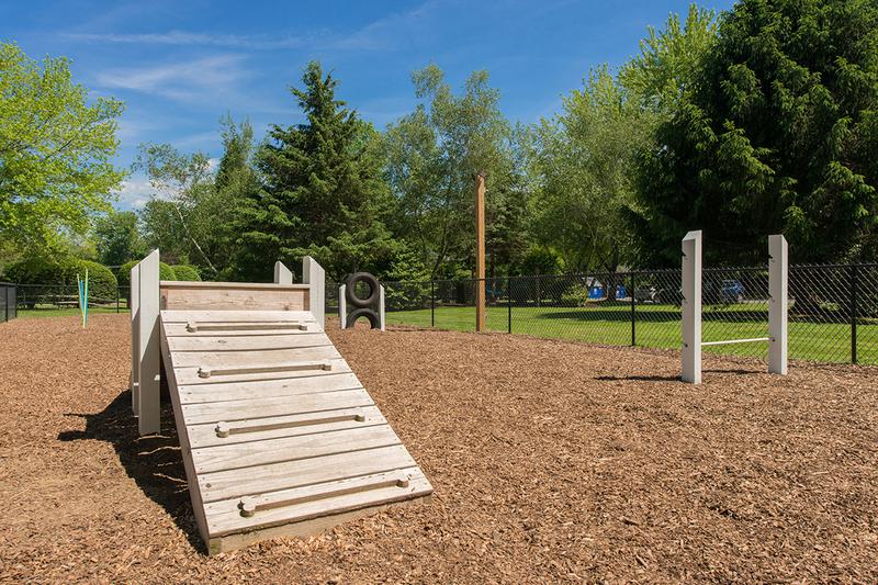 Dog Park | Your dogs will love our off-leash dog park! RENOVATIONS COMING SOON!