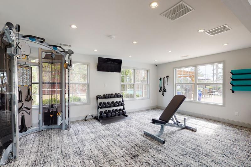 Weight Training Equipment | Our fitness center has all the weight training equipment you could ask for.