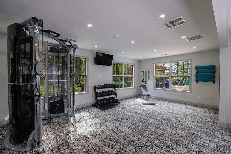 Weight Training Equipment | Our fitness center has all the weight training equipment you could ask for.